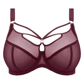 Elomi Sachi Plunge Bra Cabernet