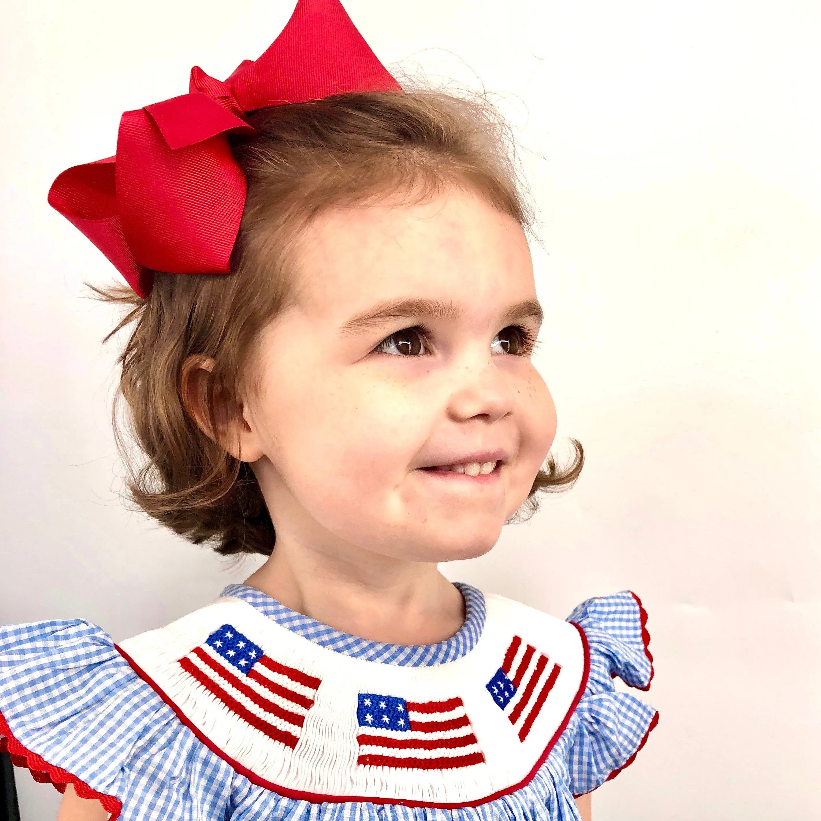 Flag Smocked Dress in Light Blue Gingham