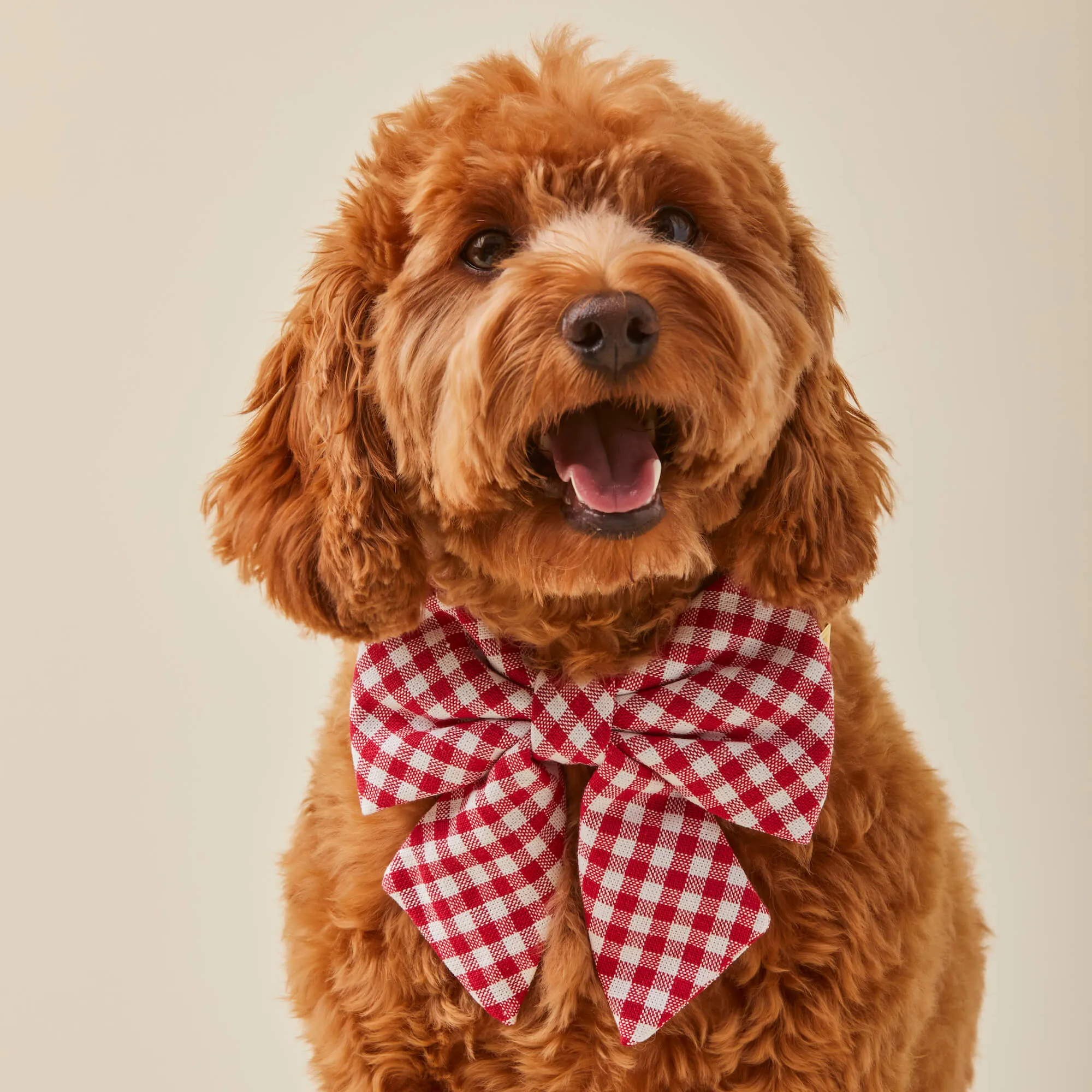 Red Gingham Lady Bow Collar