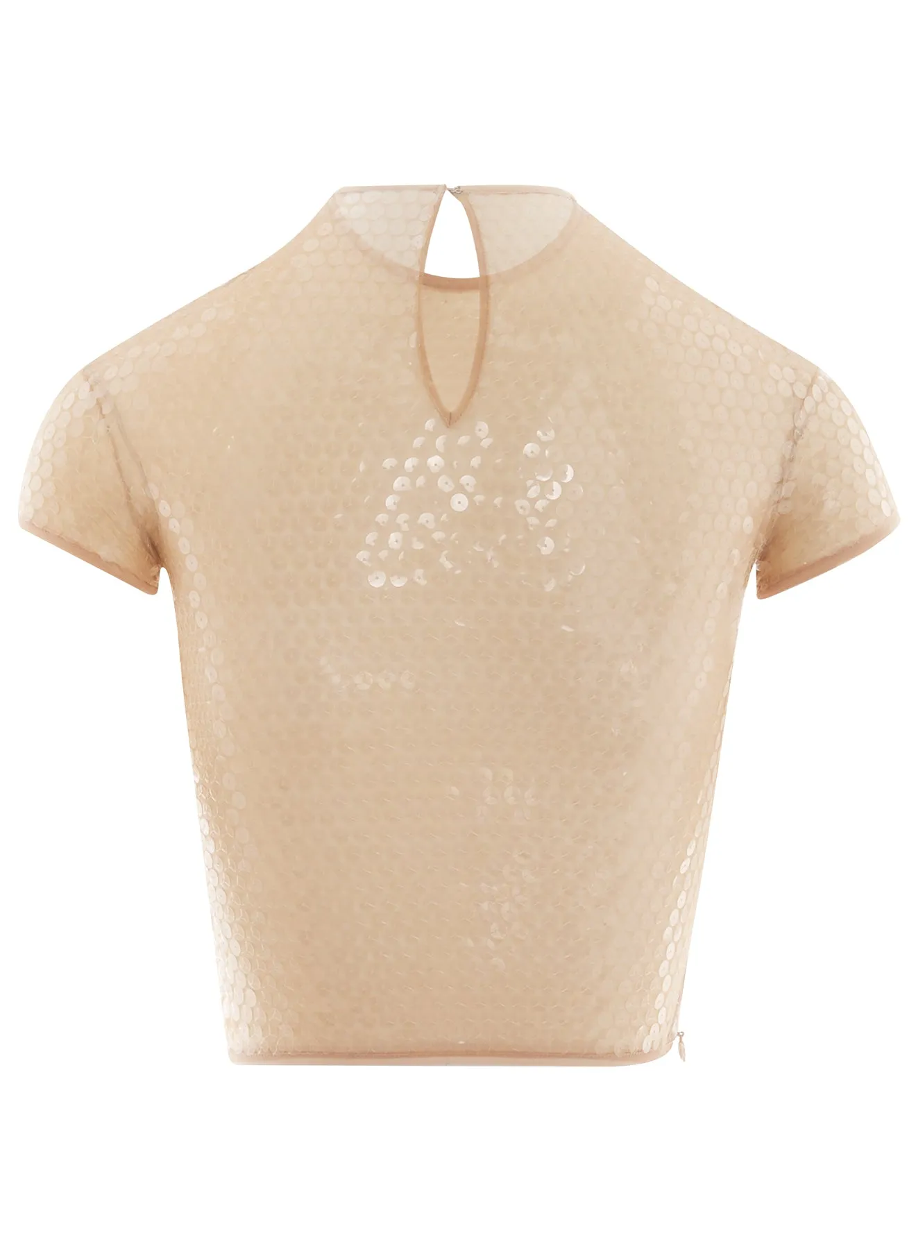 tan shiny sequin crop top